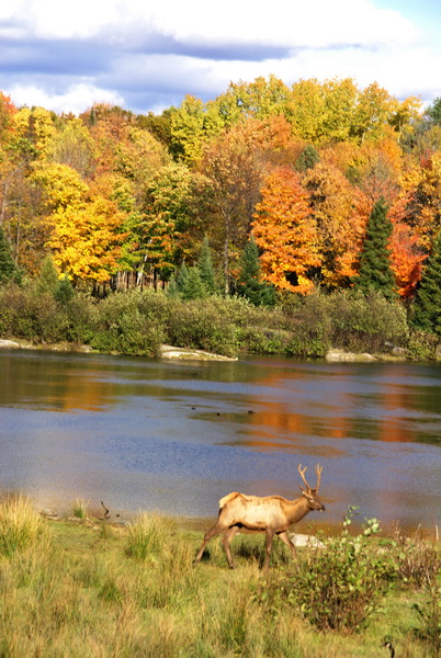 DSC03717b