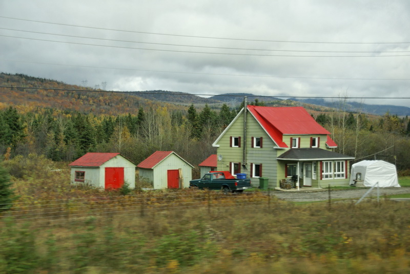DSC04411