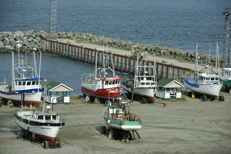 DSC04773