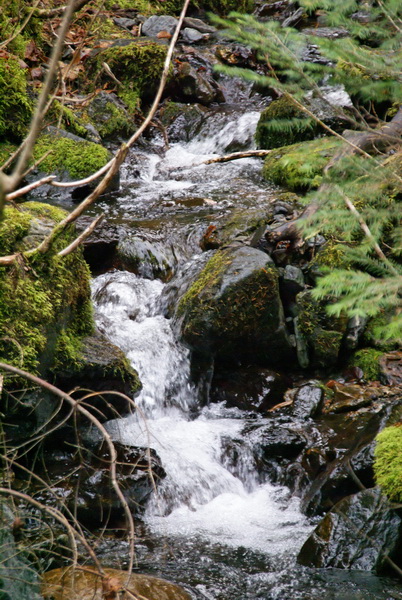 DSC04805