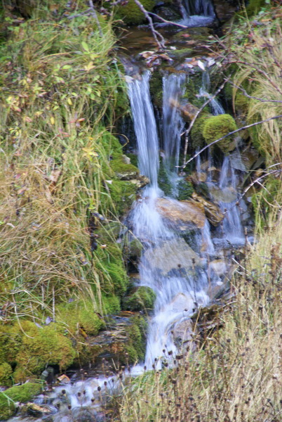 DSC04926