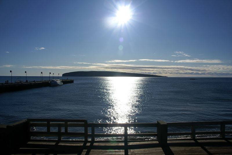 DSC05031