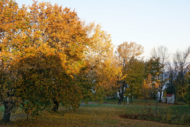 DSC05484