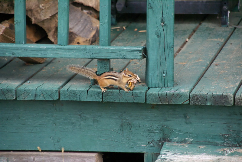 DSC05760