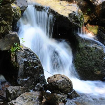 Saut de la truite 010