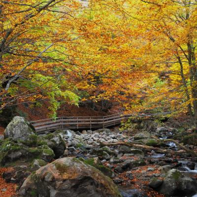 Saut de la truite 014